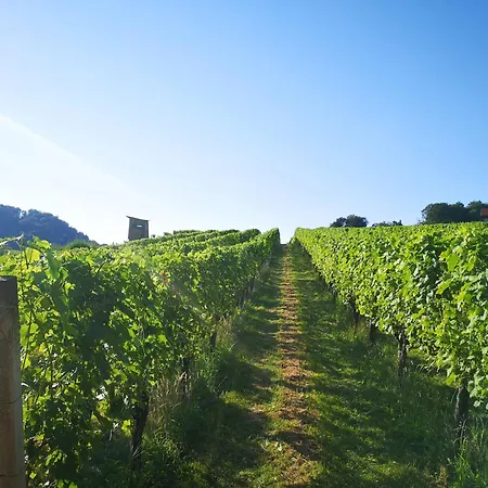 Nussberg * Ratsch an der Weinstraße