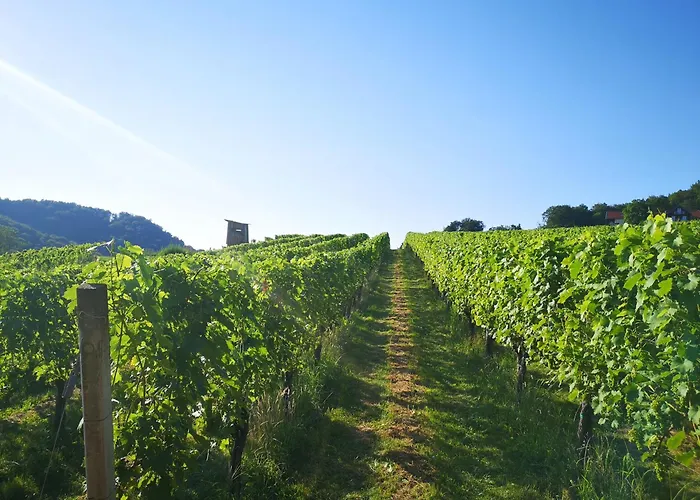 Nussberg * Ratsch an der Weinstrasse